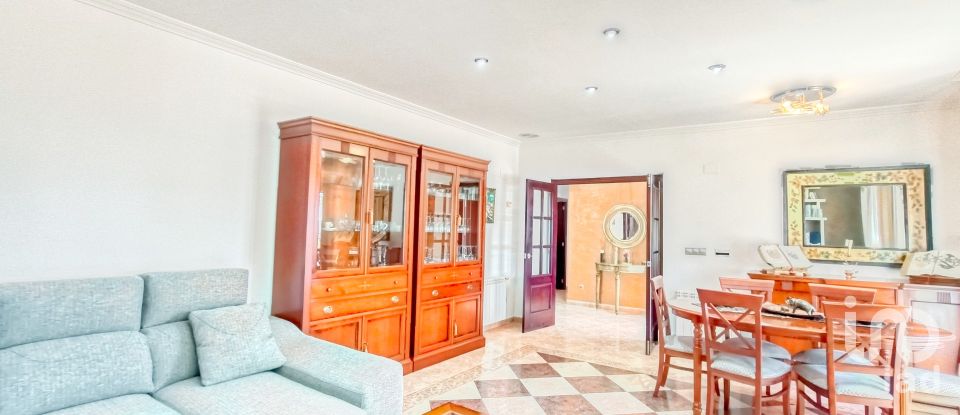 House 4 bedrooms of 317 m² in Elx/Elche (03296)