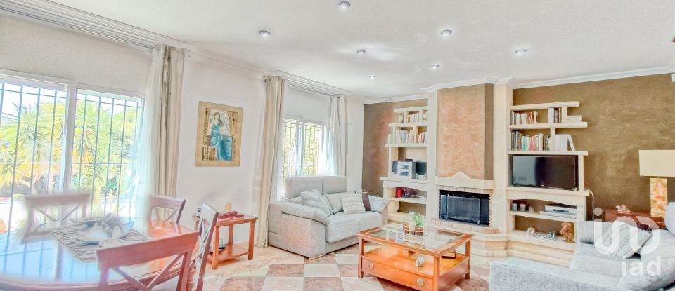 House 4 bedrooms of 317 m² in Elx/Elche (03296)