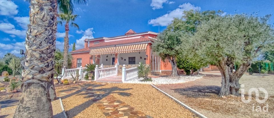 House 4 bedrooms of 317 m² in Elx/Elche (03296)