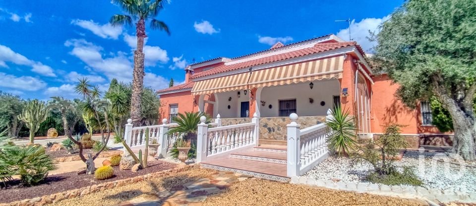 House 4 bedrooms of 317 m² in Elx/Elche (03296)