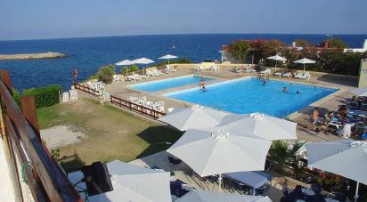 Gastronomic Restaurant of 764 m² in L'Ametlla de Mar (43860)