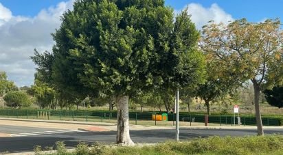 Land of 552 m² in Cartaya (21450)