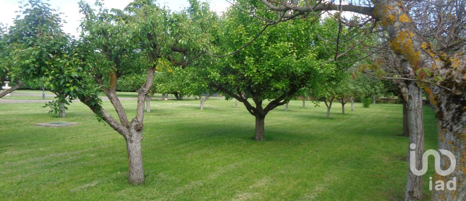 Apartment in house  6 bedrooms of 220 m² in Villaverde de Abajo (24890)