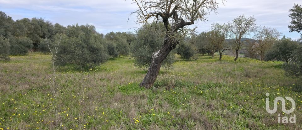 Maison de village 7 chambres de 144 m² à Baldomar (25737)