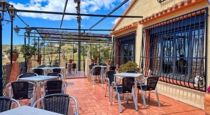 Shop / premises commercial of 557 m² in Tarbena (03518)