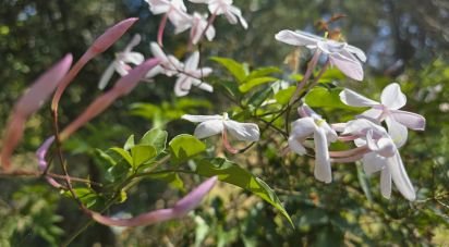 Casa rústica 4 habitaciones de 140 m² en Vall de Gallinera (03788)