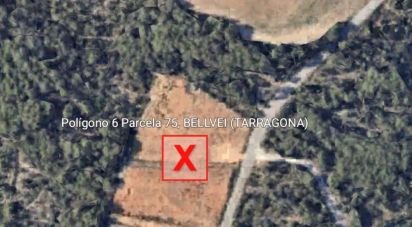 Terreny de 14.441 m² a Bellvei (43719)