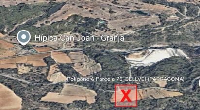 Terreny de 14.441 m² a Bellvei (43719)