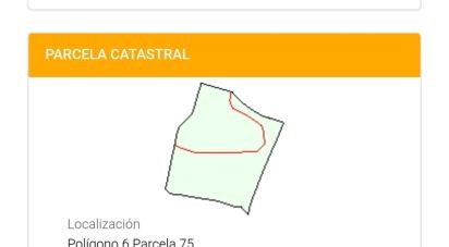 Terreny de 14.441 m² a Bellvei (43719)