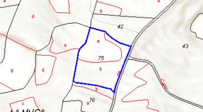 Terreny de 14.441 m² a Bellvei (43719)