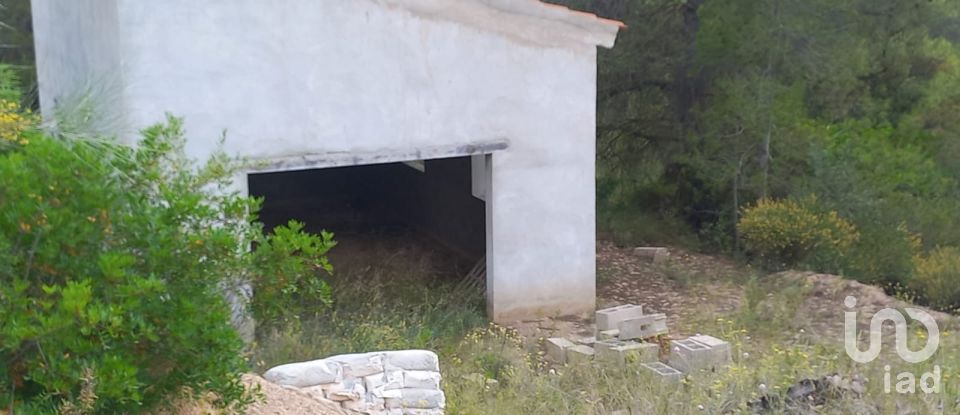 Terreny de 12.938 m² a El Masroig (43736)