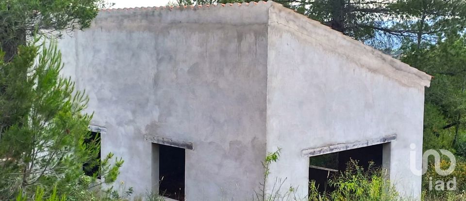 Terreny de 12.938 m² a El Masroig (43736)