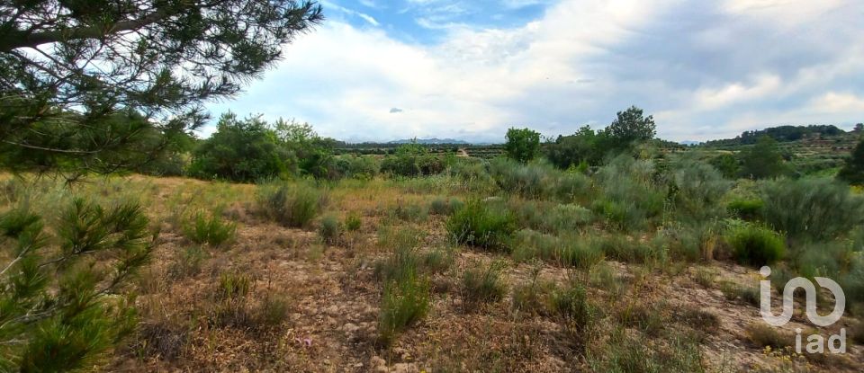 Terreny de 12.938 m² a El Masroig (43736)