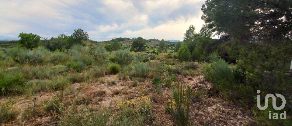 Terreny de 12.938 m² a El Masroig (43736)