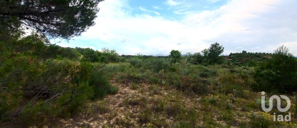 Terreny de 12.938 m² a El Masroig (43736)