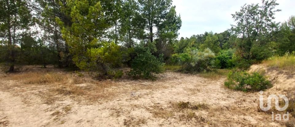 Terreny de 12.938 m² a El Masroig (43736)