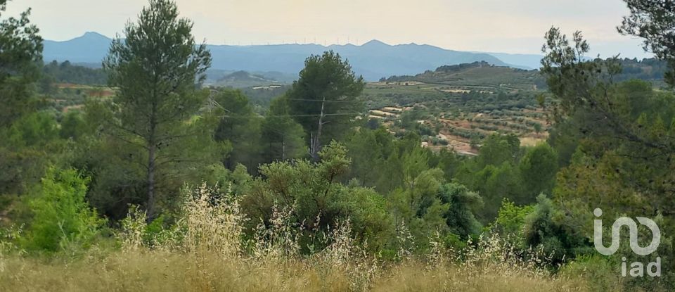 Terreny de 12.938 m² a El Masroig (43736)