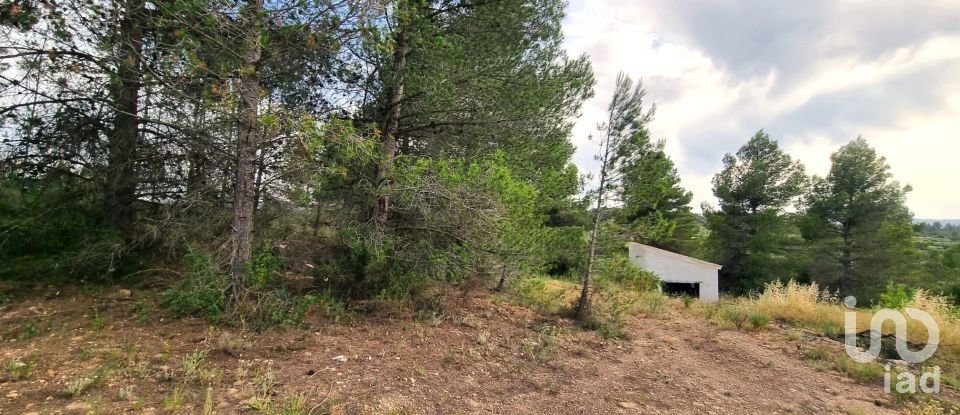 Terreny de 12.938 m² a El Masroig (43736)