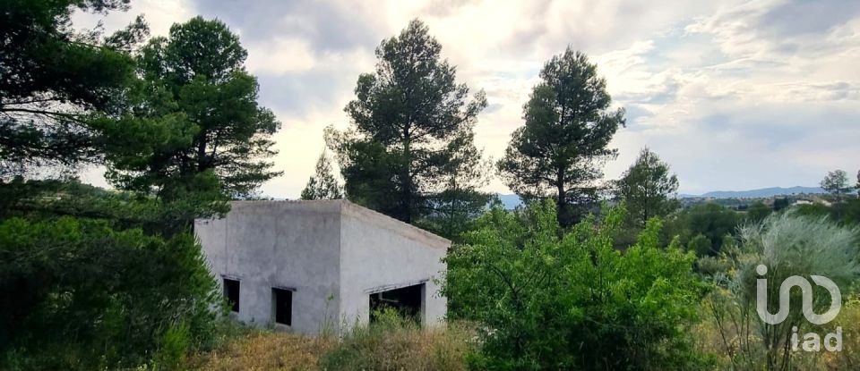 Terreny de 12.938 m² a El Masroig (43736)
