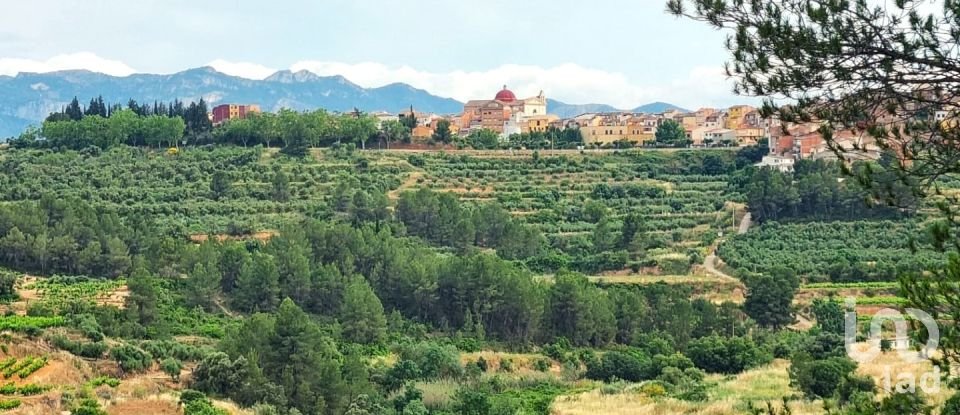 Terreny de 12.938 m² a El Masroig (43736)