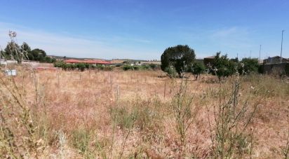 Building plot of 2,048 m² in Belvís de la Jara (45660)