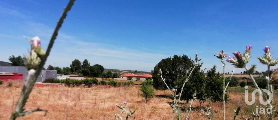 Terrain à bâtir de 2 048 m² à Belvís de la Jara (45660)