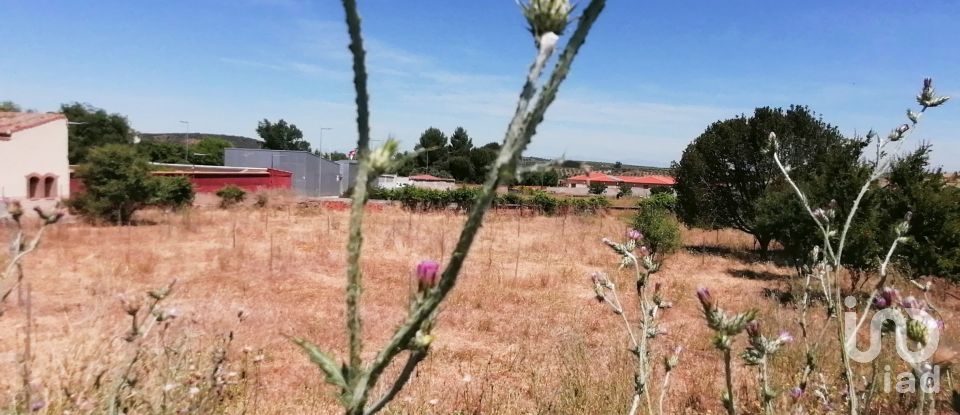 Terrain à bâtir de 2 048 m² à Belvís de la Jara (45660)