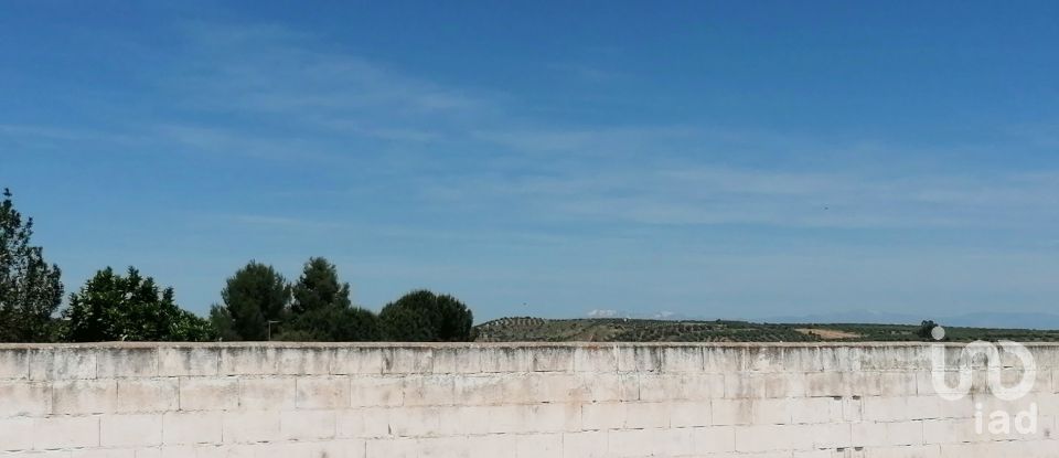 Terrain à bâtir de 2 048 m² à Belvís de la Jara (45660)