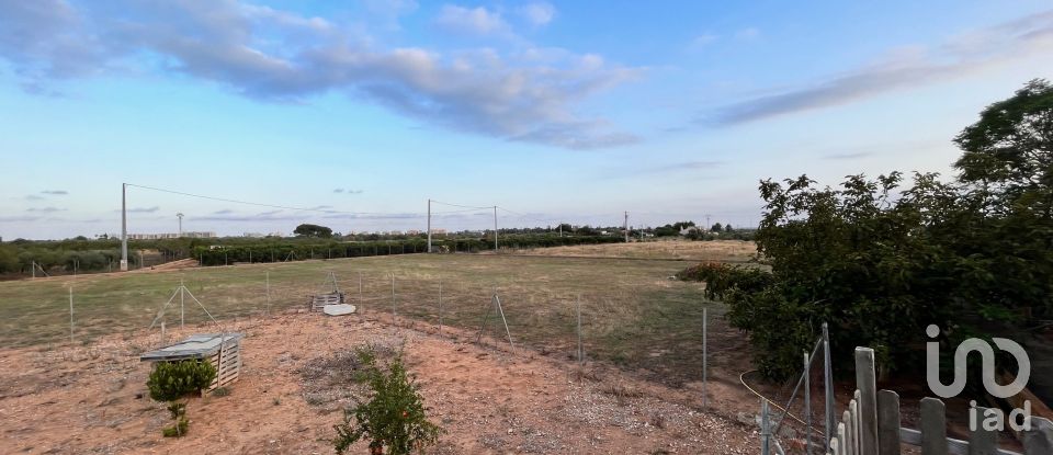 House 4 bedrooms of 159 m² in Torreblanca (12596)