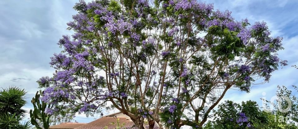 House 4 bedrooms of 159 m² in Torreblanca (12596)