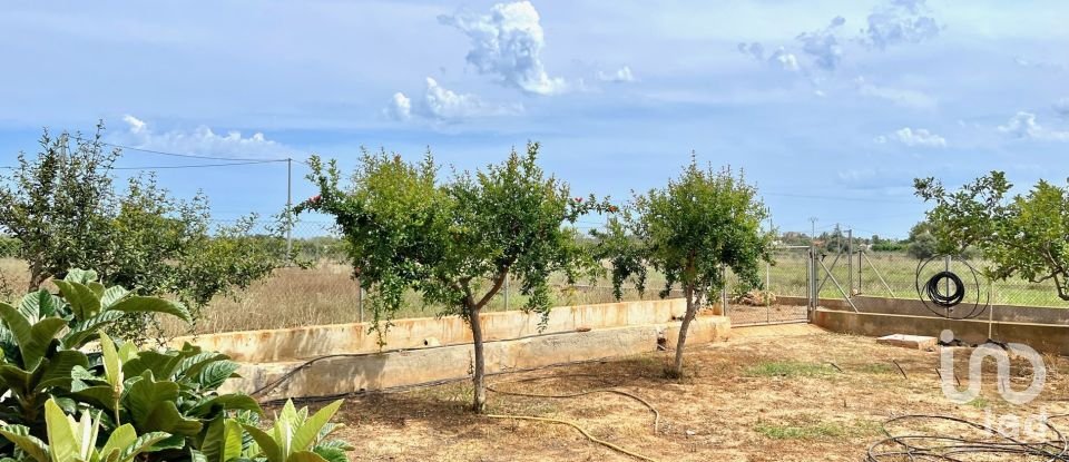 House 4 bedrooms of 159 m² in Torreblanca (12596)