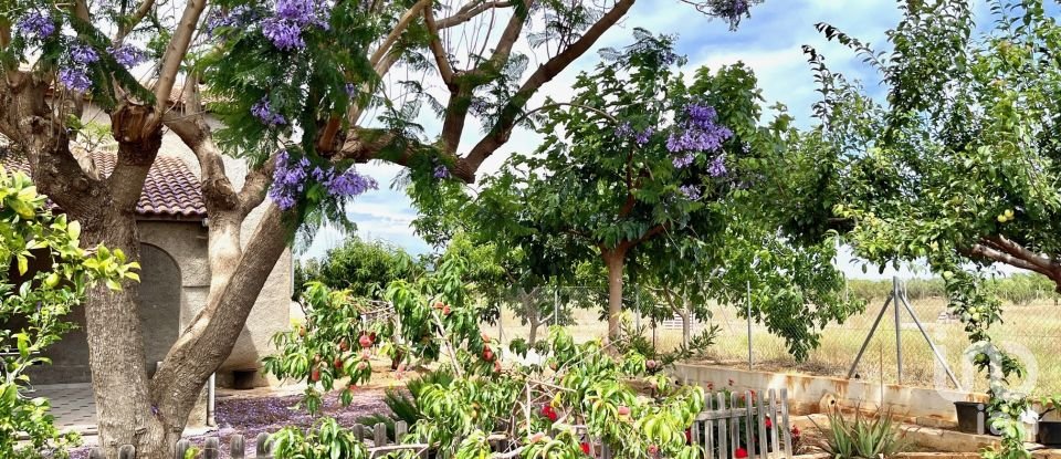 House 4 bedrooms of 159 m² in Torreblanca (12596)