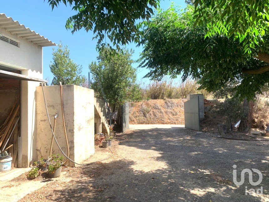 Terreno de 61.232 m² en Riudoms (43330)