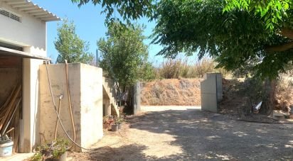 Terreno de 61.232 m² en Riudoms (43330)