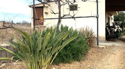 Terreno de 61.232 m² en Riudoms (43330)