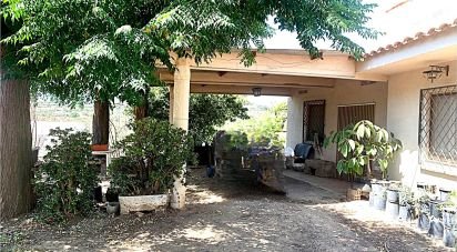 Terreno de 61.232 m² en Riudoms (43330)