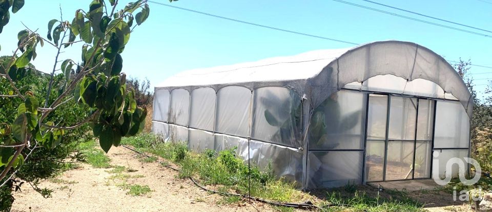 Terreno de 61.232 m² en Riudoms (43330)