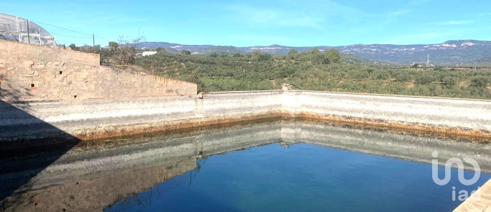 Terreno de 61.232 m² en Riudoms (43330)