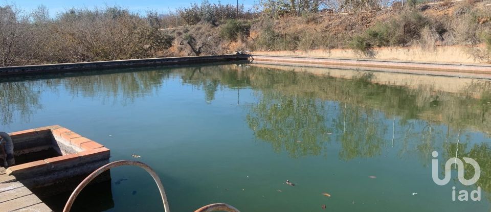 Terreno de 61.232 m² en Riudoms (43330)