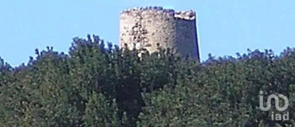 Terreno de 61.232 m² en Riudoms (43330)