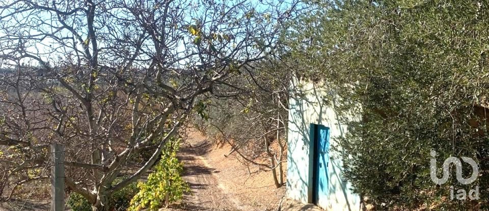 Terreno de 61.232 m² en Riudoms (43330)