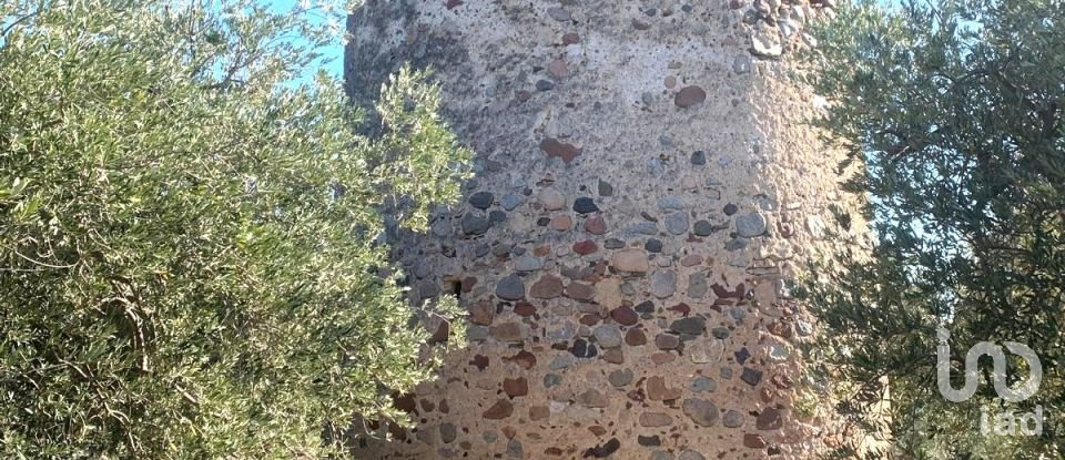 Terreno de 61.232 m² en Riudoms (43330)