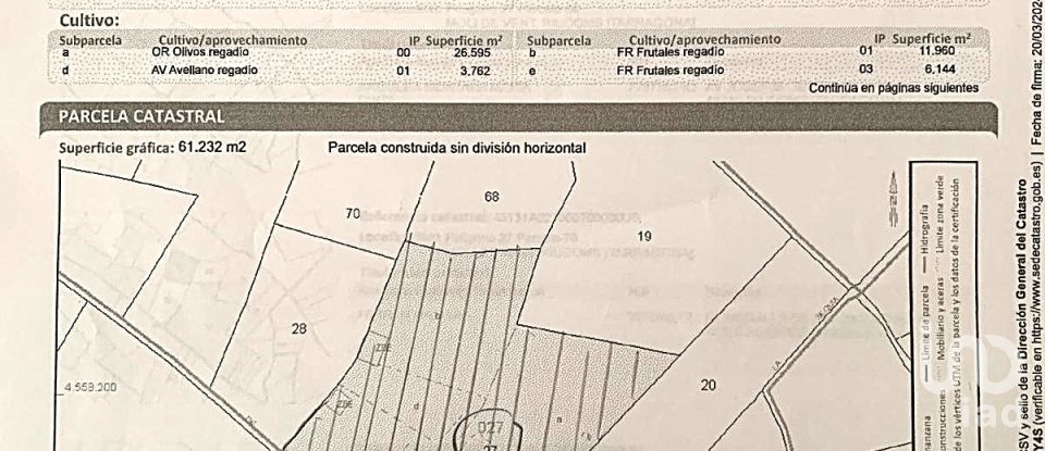 Terreno de 61.232 m² en Riudoms (43330)