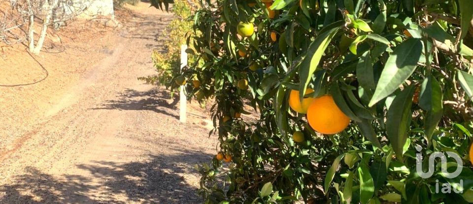 Terreno de 61.232 m² en Riudoms (43330)