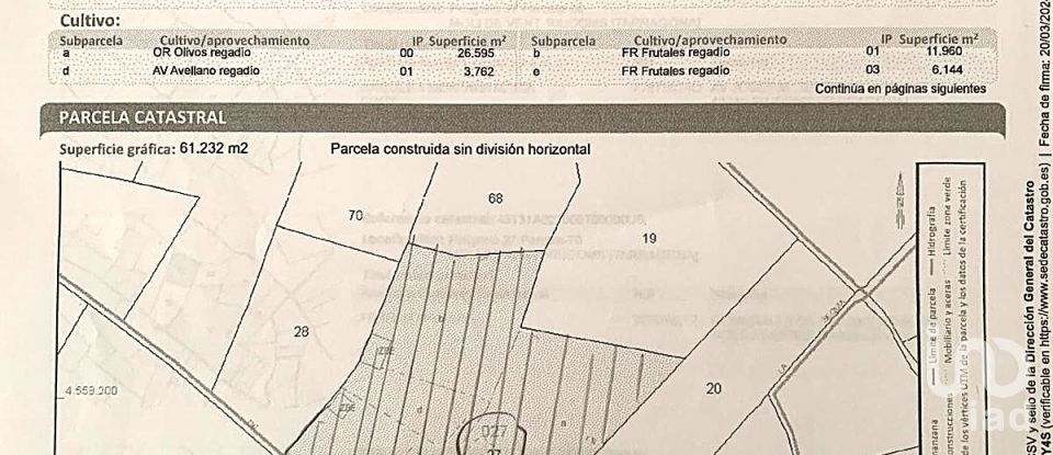 Terreno de 61.232 m² en Riudoms (43330)
