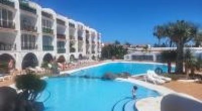 Apartment 1 bedroom of 58 m² in Amarilla Golf (38639)