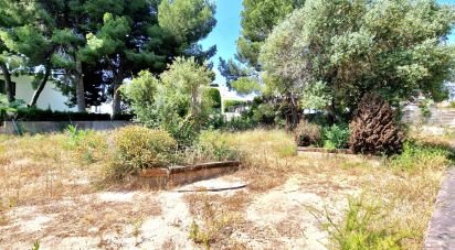 Building plot of 2,231 m² in Urbanitzacio Bera (43883)