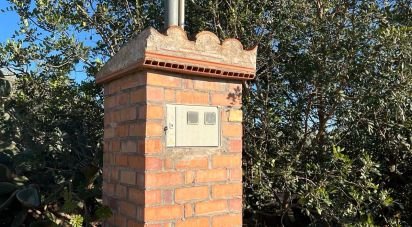 Land of 20,000 m² in Aldover (43591)