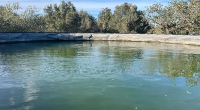 Terreno de 20.000 m² en Aldover (43591)