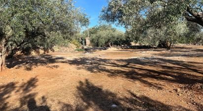 Terreno de 20.000 m² en Aldover (43591)